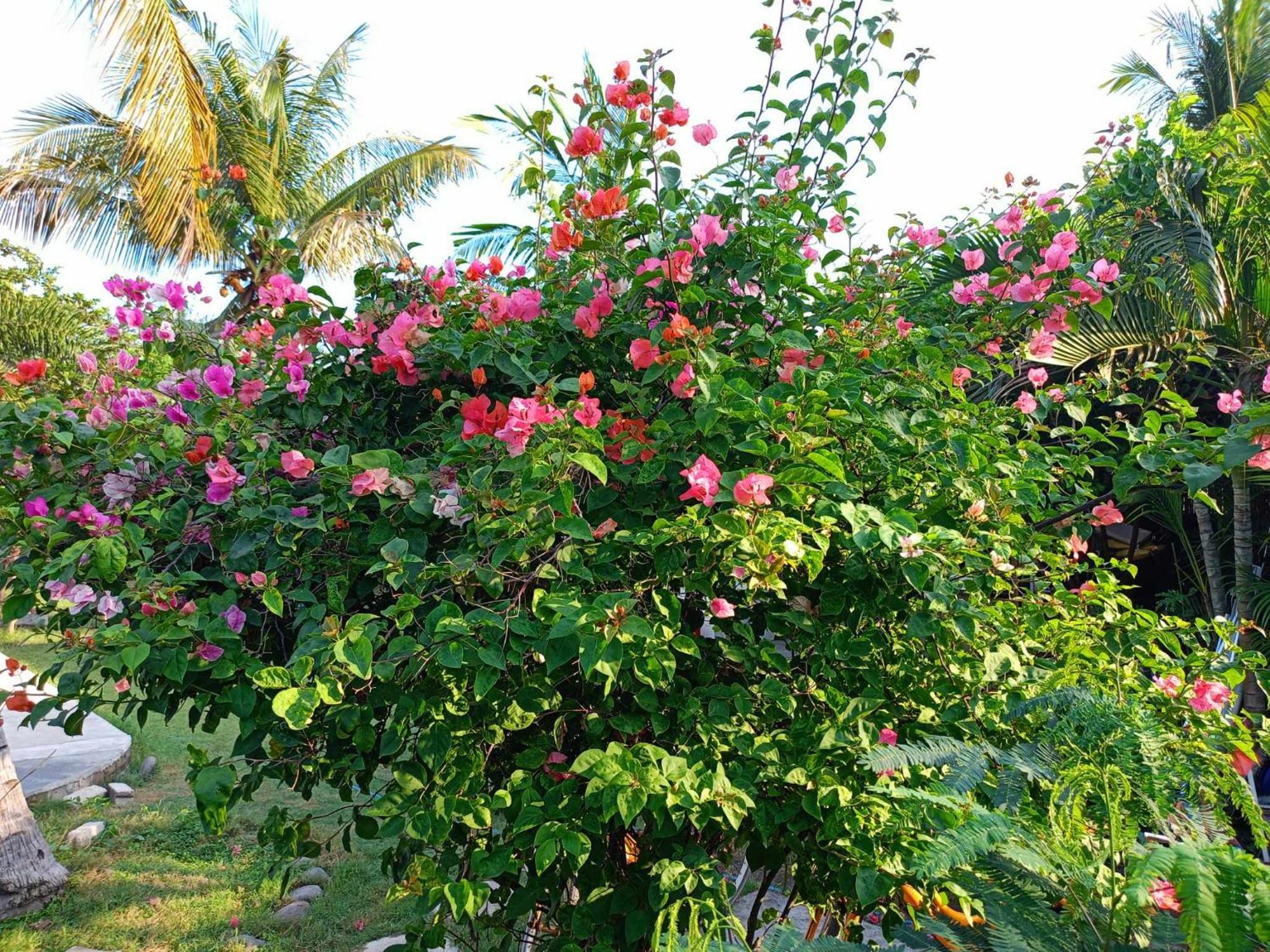 Bintang Tiga Bungalows Gili Islands Exterior photo